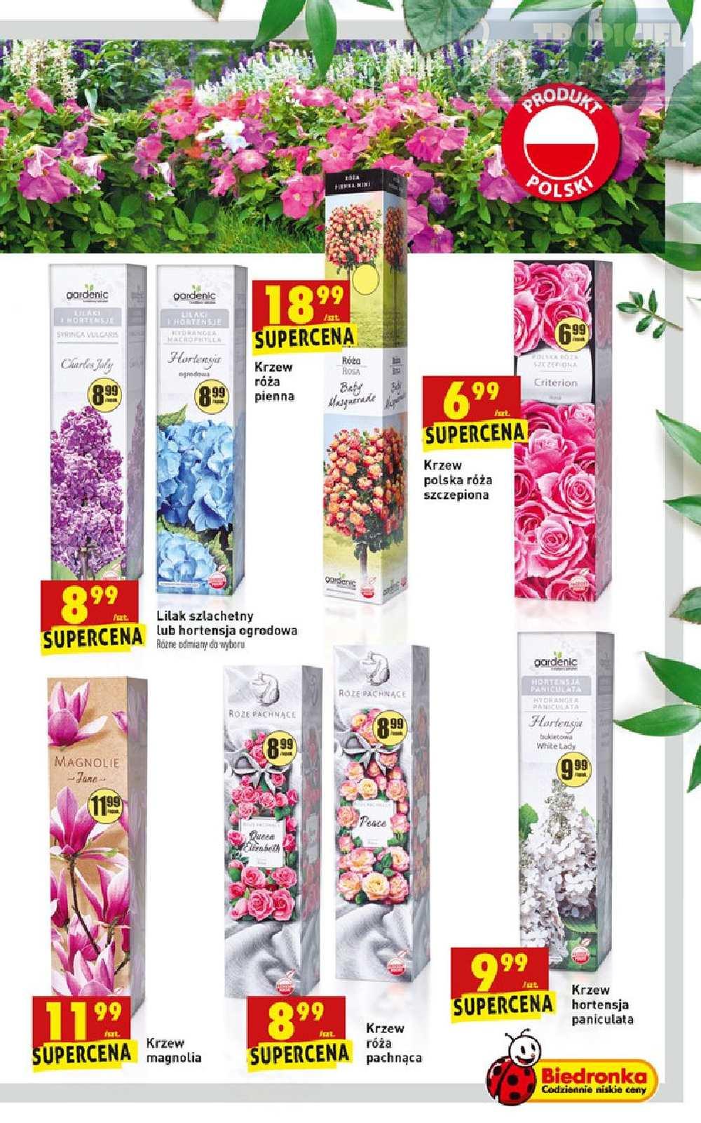 Gazetka promocyjna Biedronka do 16/03/2019 str.63