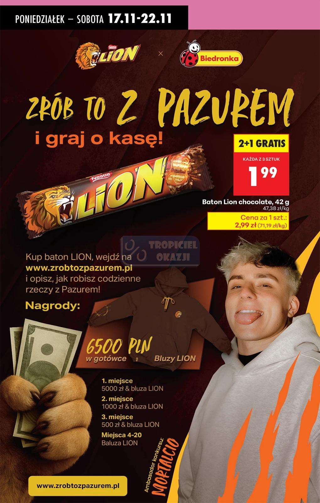 Gazetka promocyjna Biedronka do 22/11/2025 str.58
