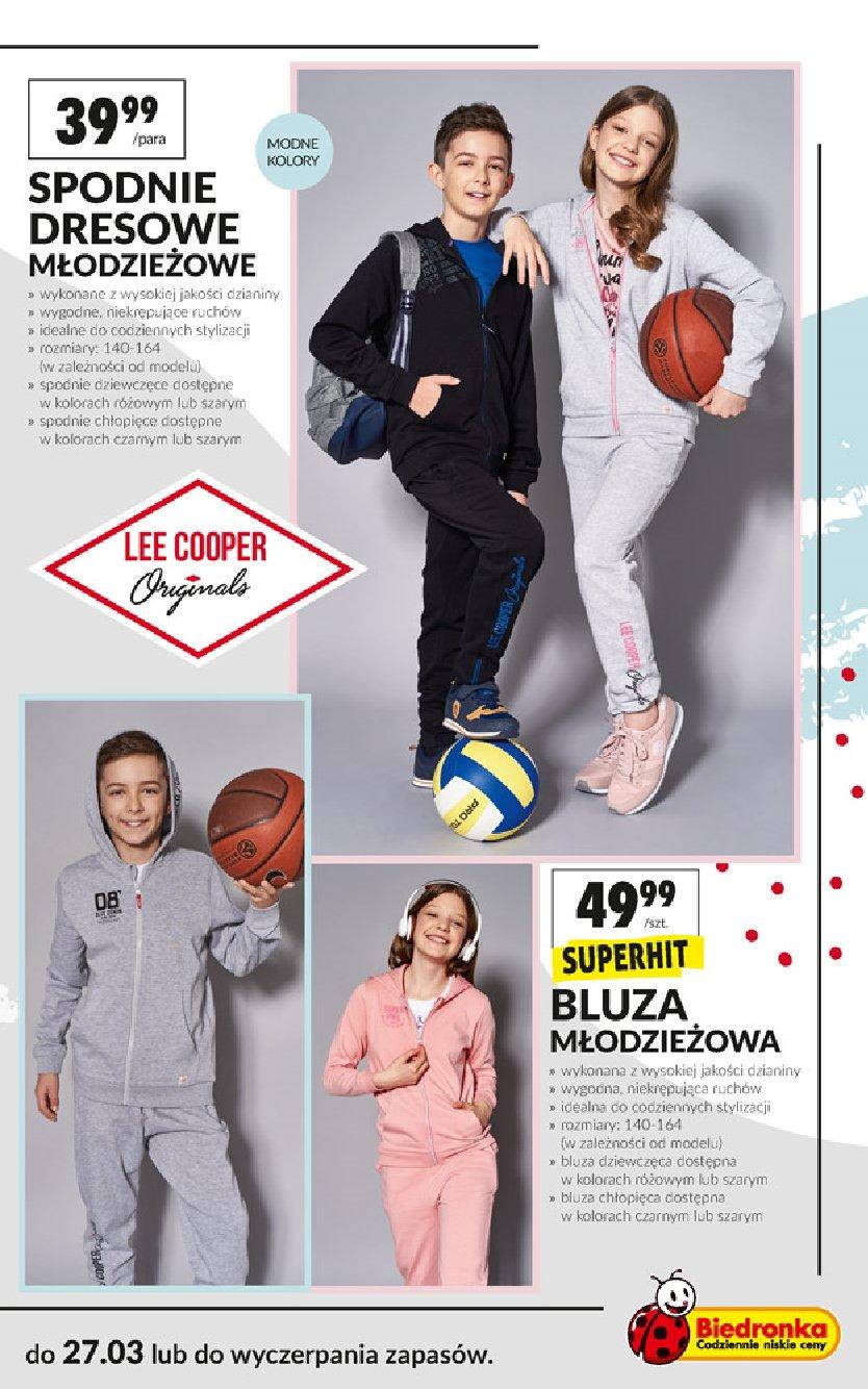Gazetka promocyjna Biedronka do 27/03/2019 str.17