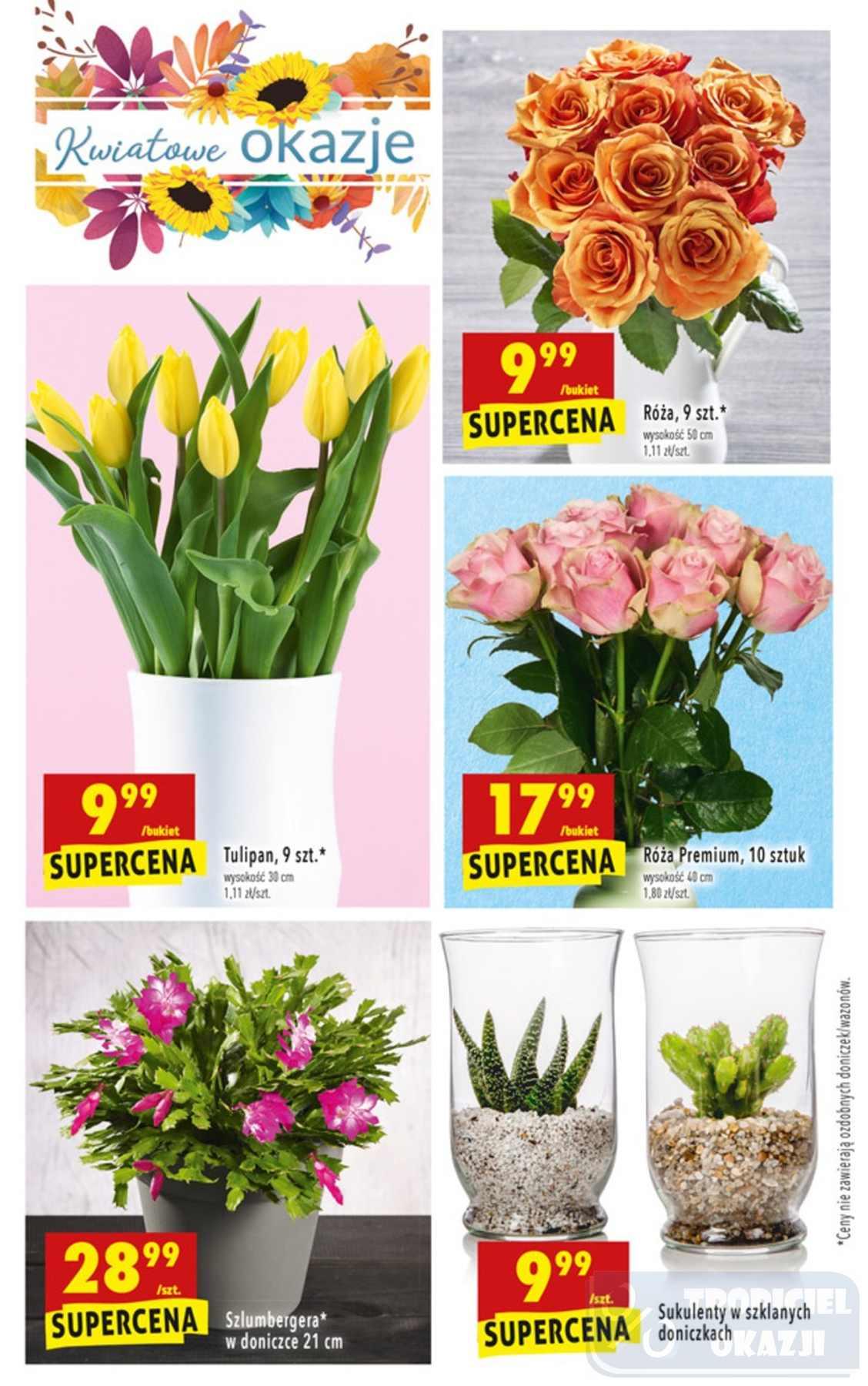 Gazetka promocyjna Biedronka do 14/11/2018 str.33
