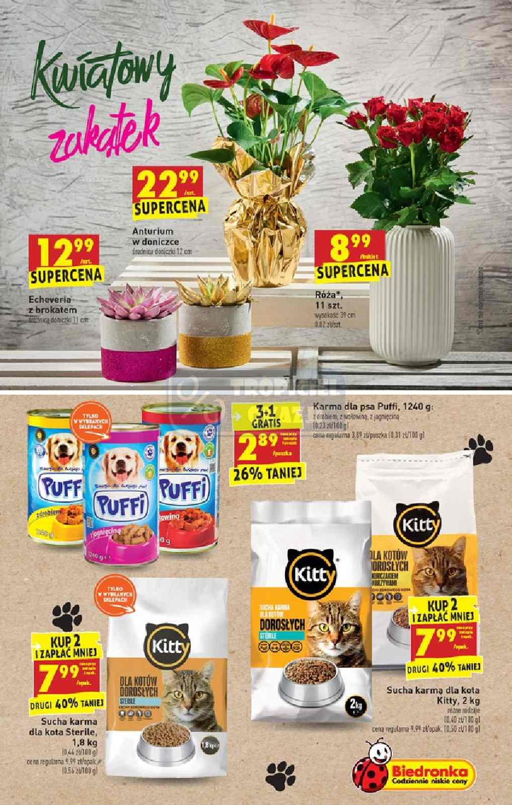 Gazetka promocyjna Biedronka do 05/01/2020 str.43