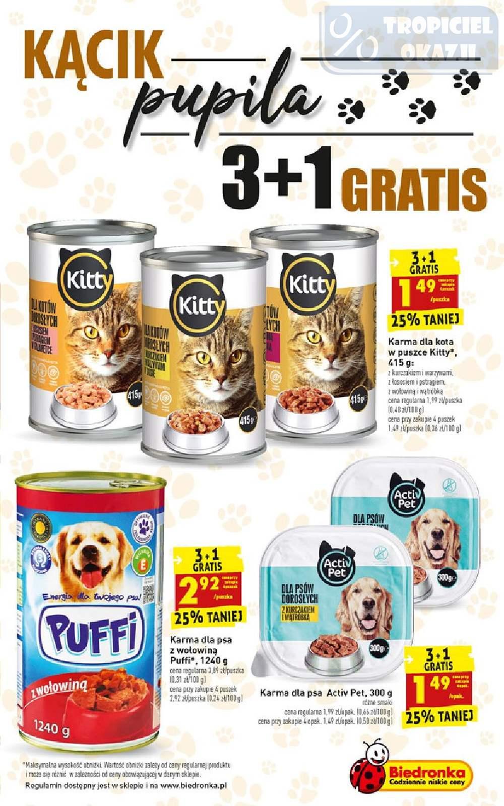Gazetka promocyjna Biedronka do 16/03/2019 str.61