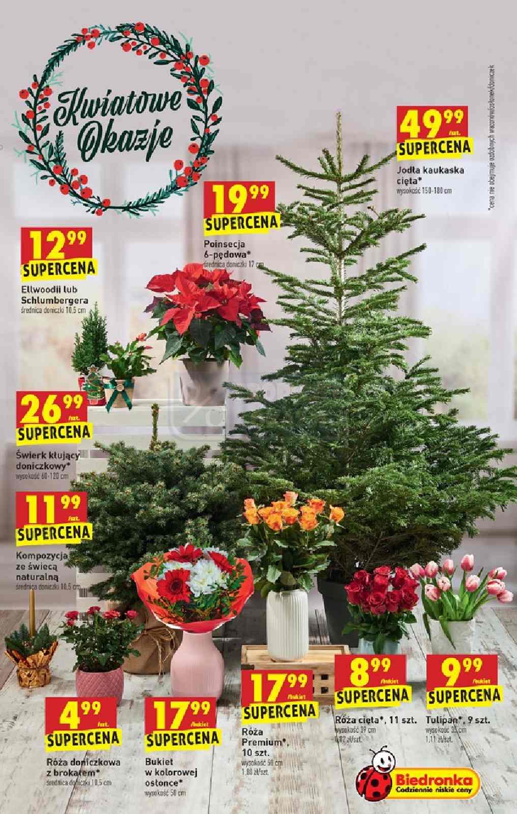 Gazetka promocyjna Biedronka do 18/12/2019 str.63