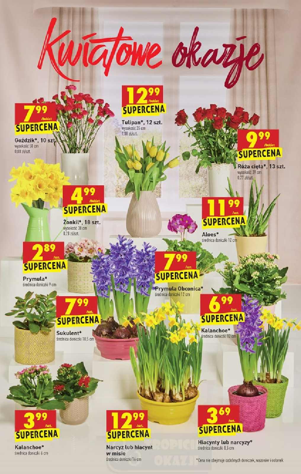 Gazetka promocyjna Biedronka do 06/02/2021 str.56