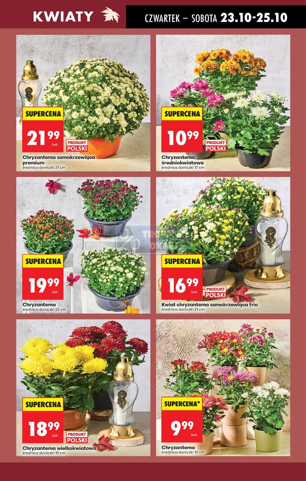 Gazetka promocyjna Biedronka do 29/10/2025 str.19