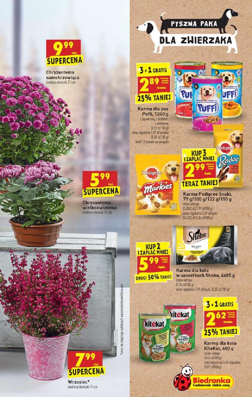 Gazetka promocyjna Biedronka do 02/11/2019 str.55