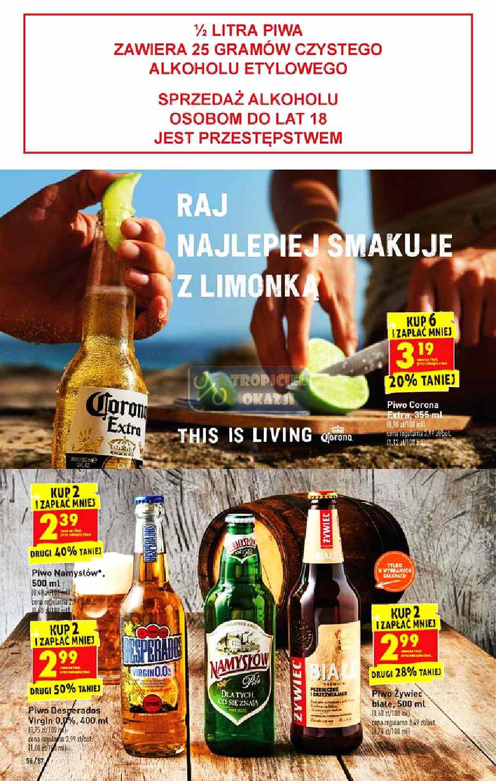 Gazetka promocyjna Biedronka do 03/04/2021 str.56