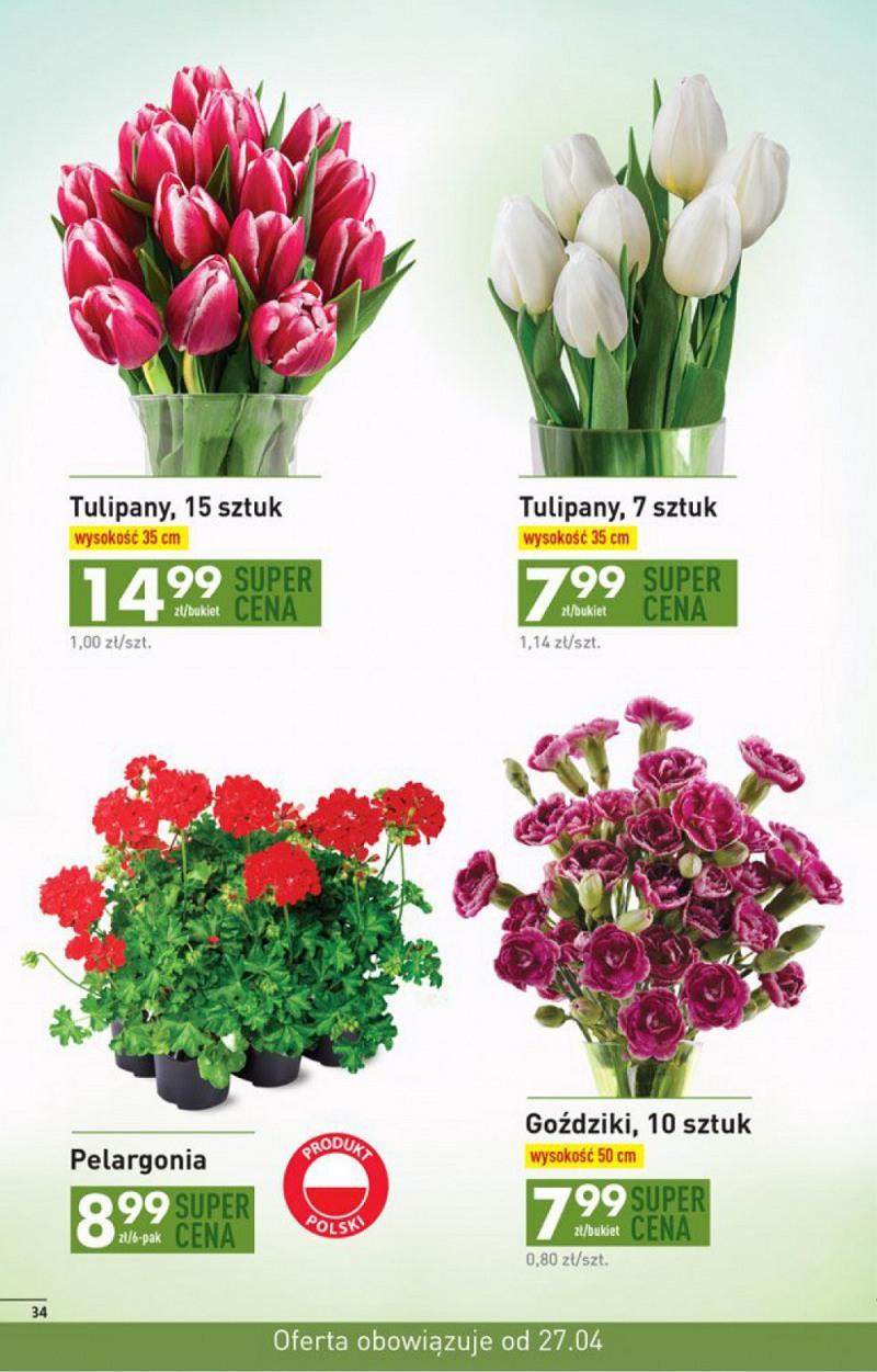 Gazetka promocyjna Biedronka do 02/05/2017 str.34