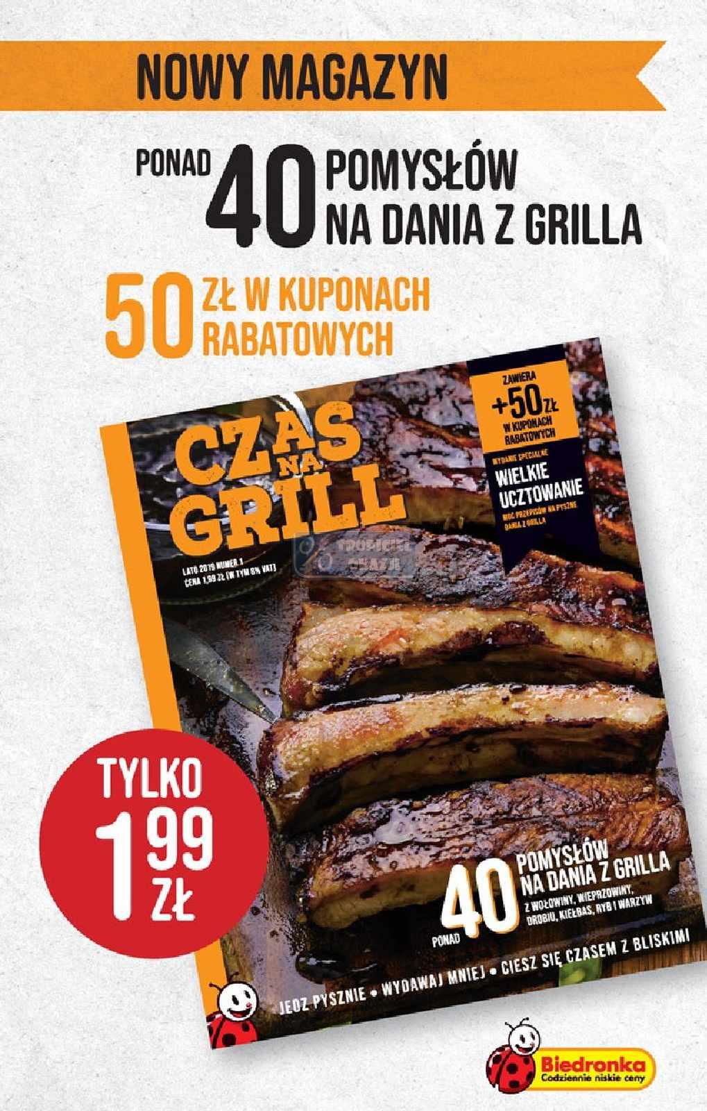 Gazetka promocyjna Biedronka do 26/06/2019 str.17