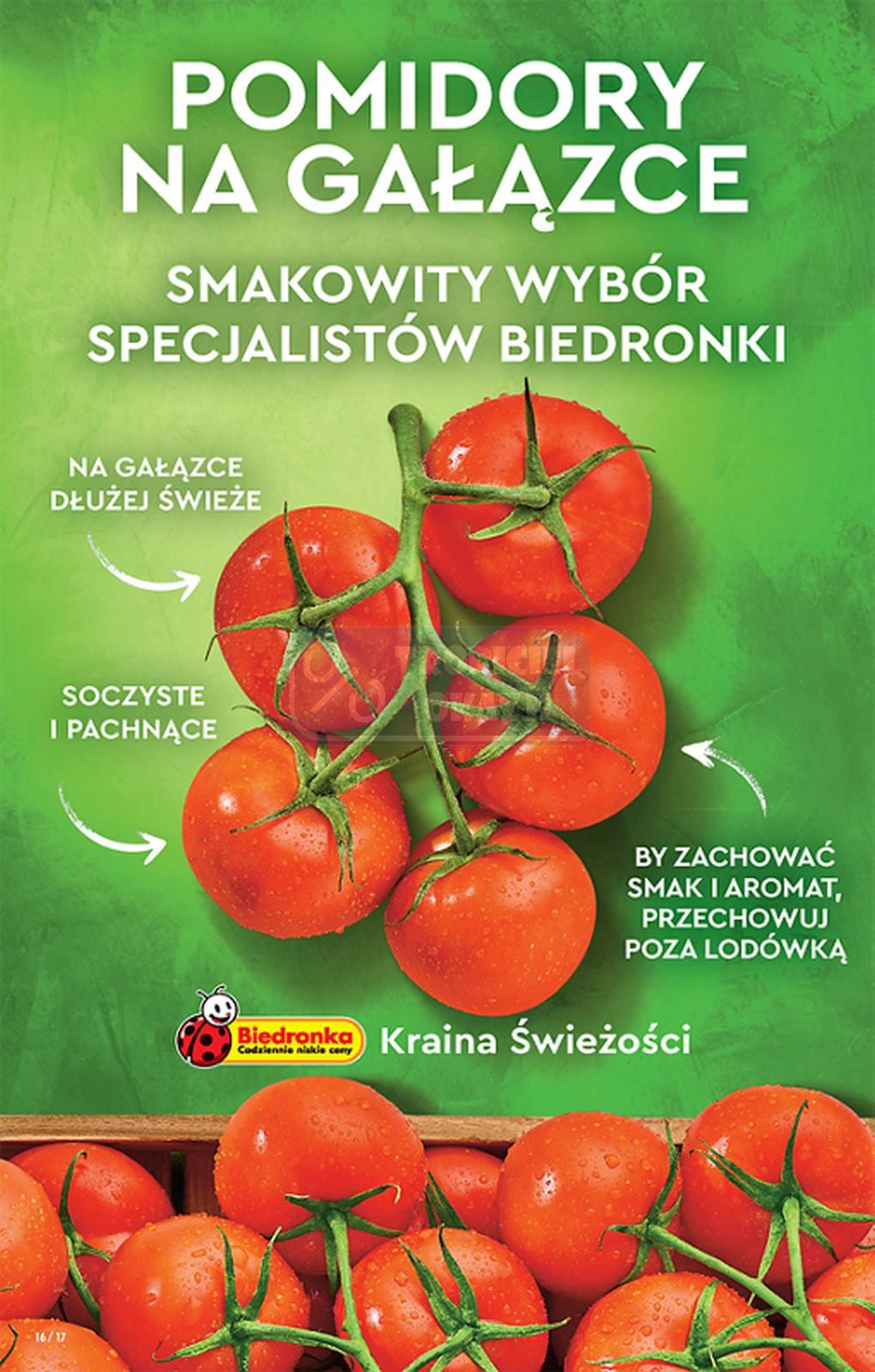 Gazetka promocyjna Biedronka do 22/06/2022 str.16