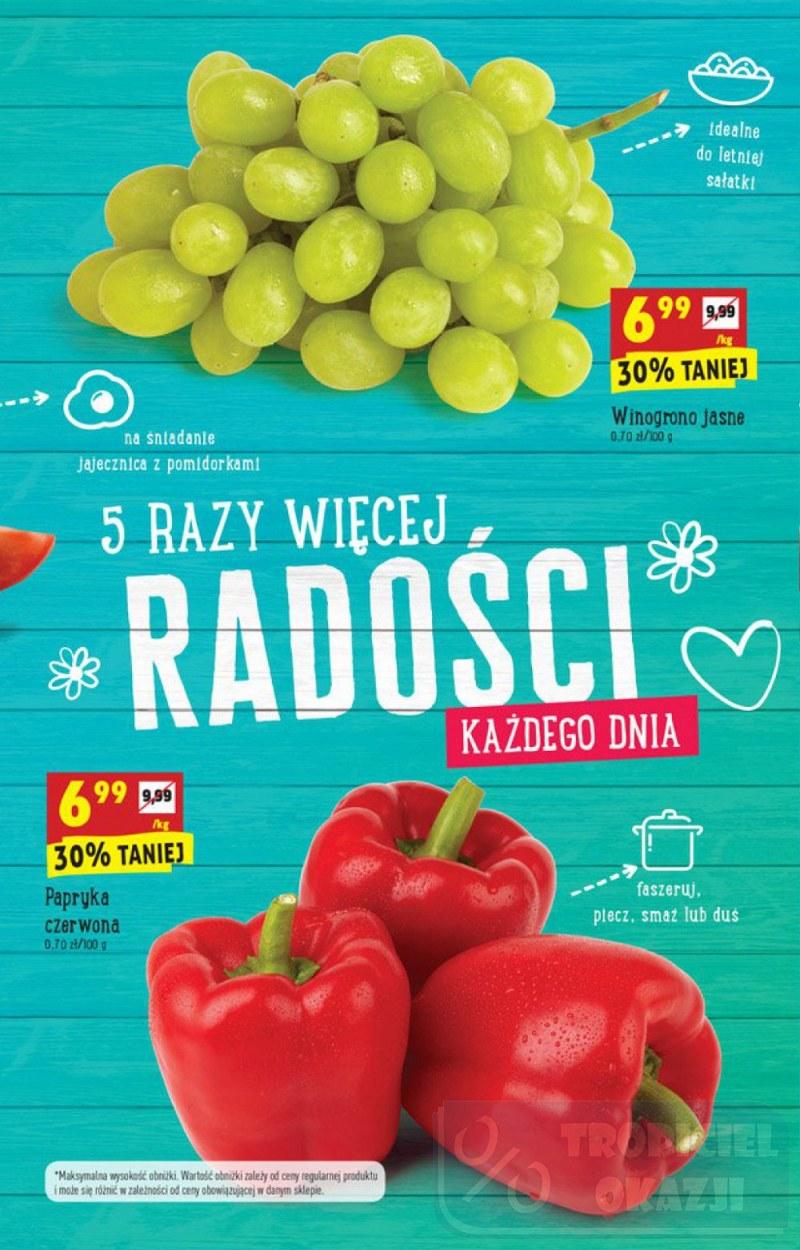 Gazetka promocyjna Biedronka do 16/07/2017 str.5