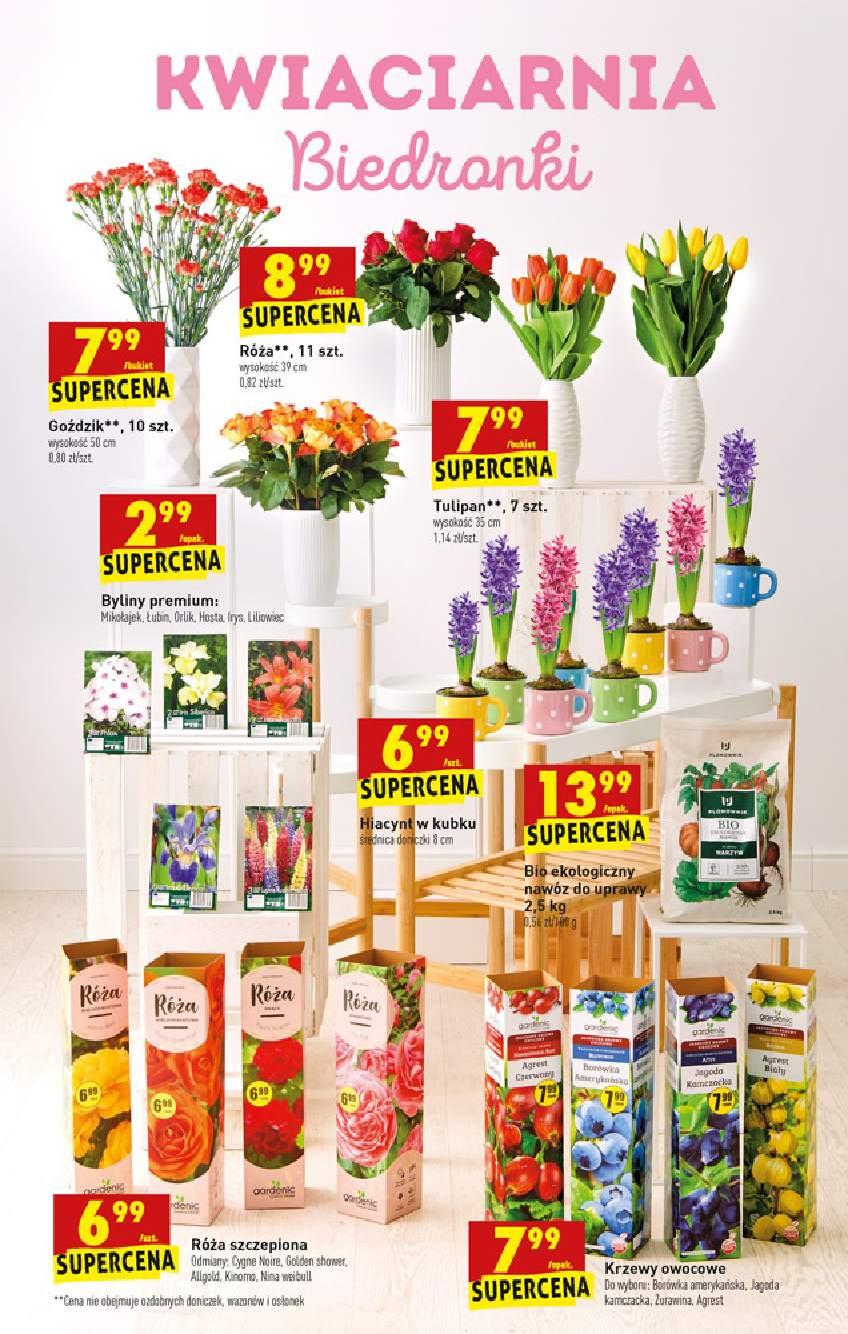 Gazetka promocyjna Biedronka do 10/04/2021 str.53