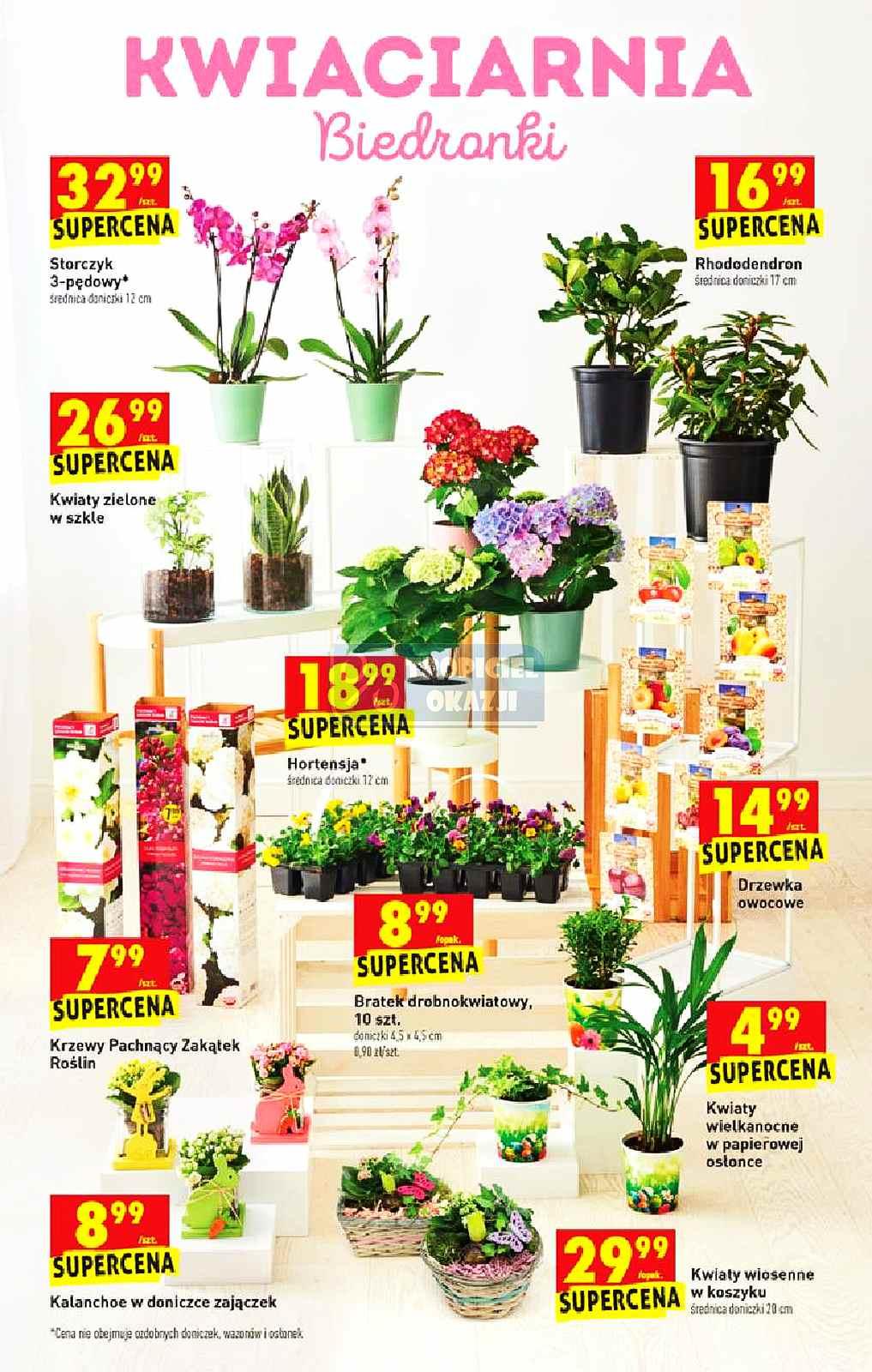 Gazetka promocyjna Biedronka do 31/03/2021 str.61