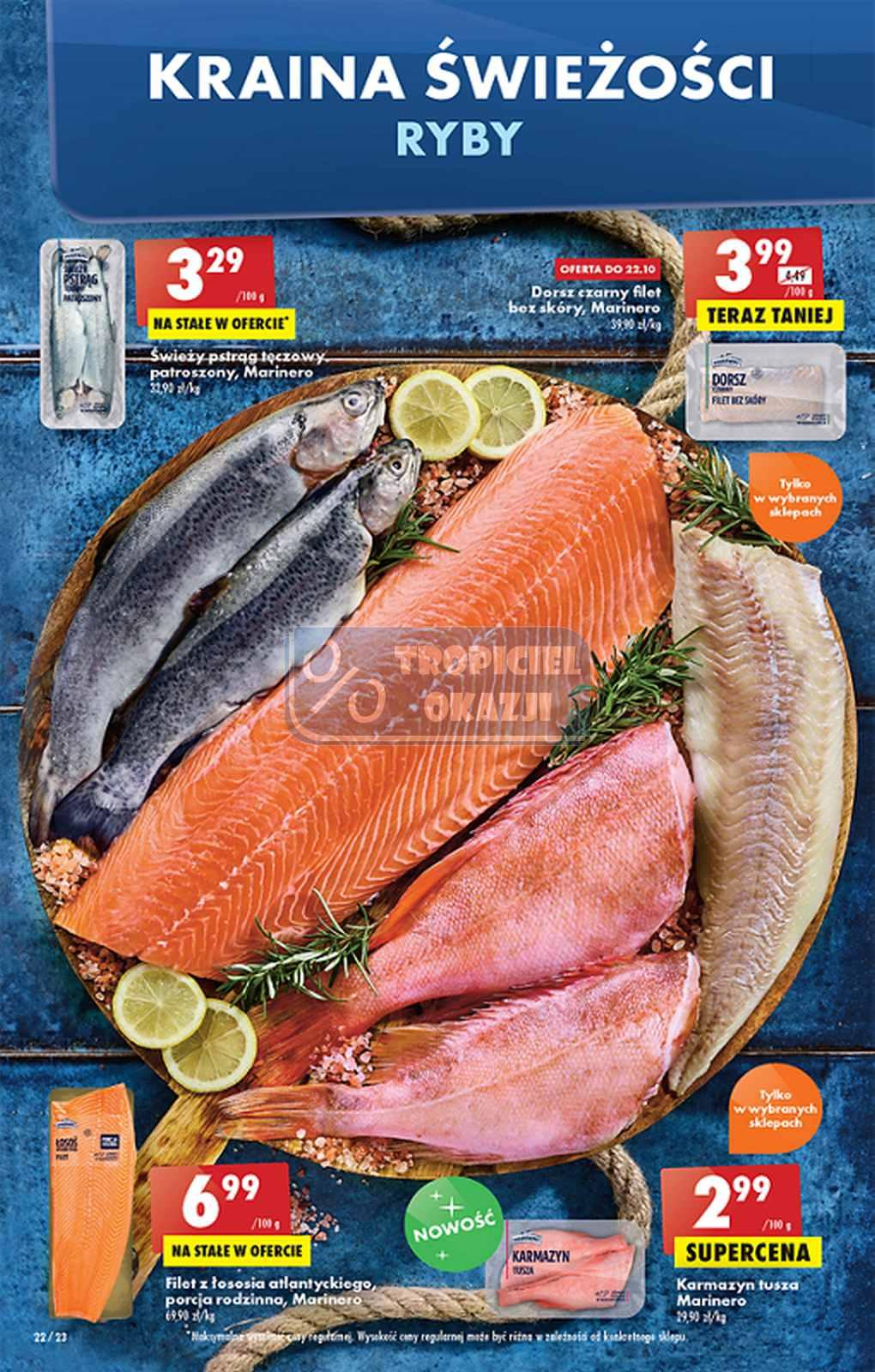 Gazetka promocyjna Biedronka do 26/10/2022 str.22