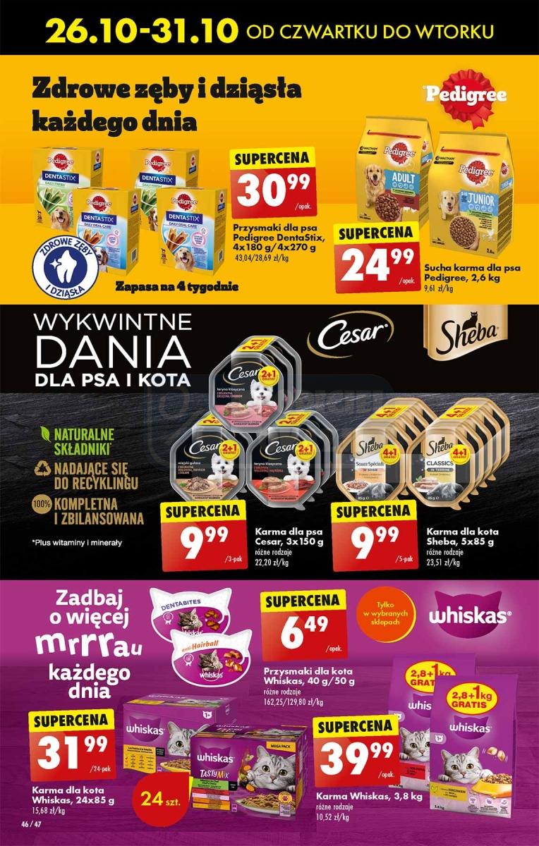 Gazetka promocyjna Biedronka do 31/10/2023 str.48