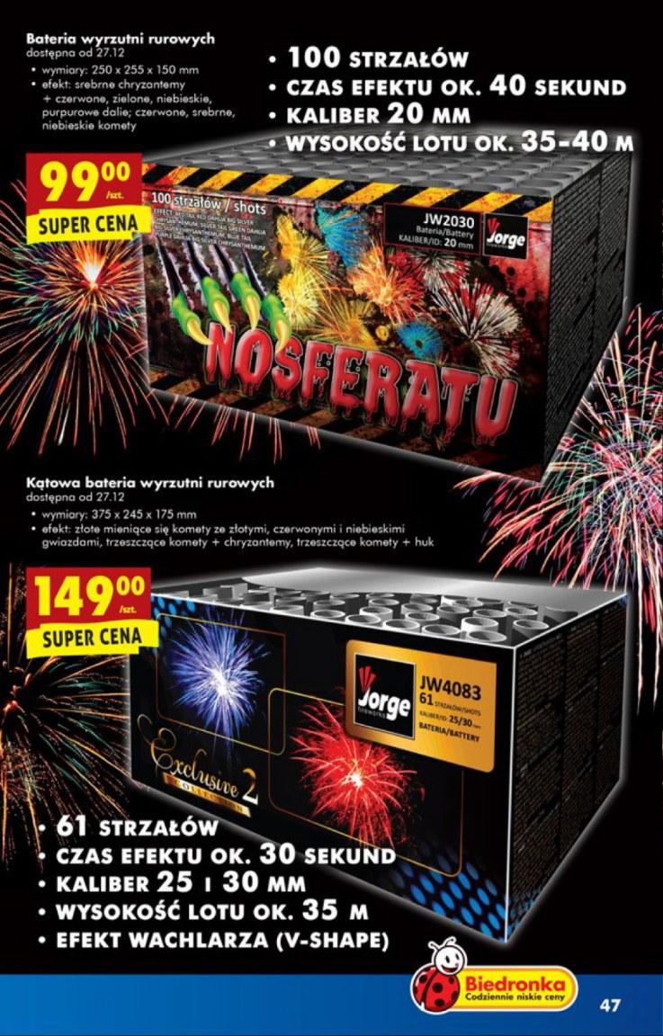 Gazetka promocyjna Biedronka do 31/12/2016 str.7