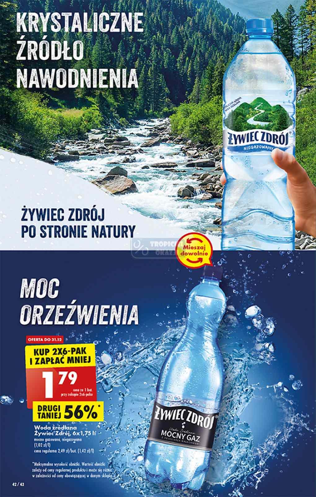 Gazetka promocyjna Biedronka do 04/01/2023 str.42