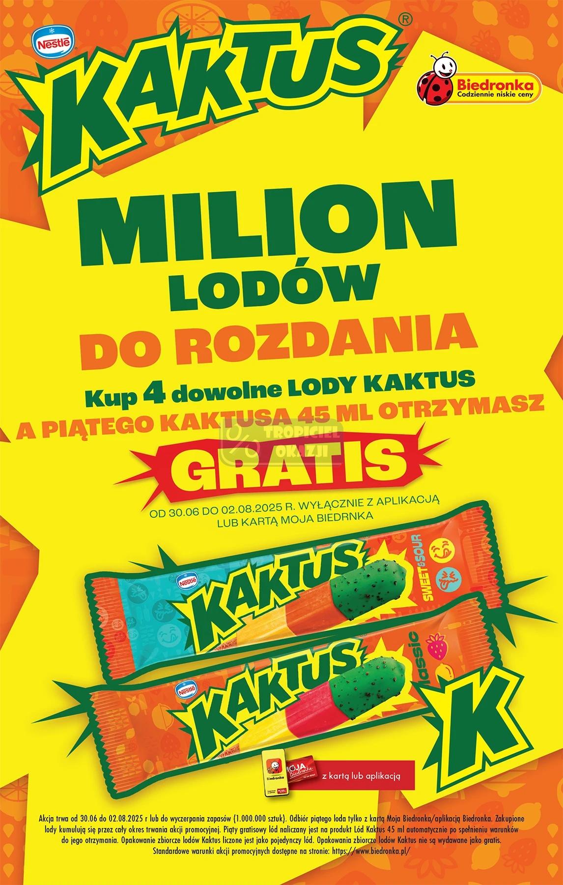Gazetka promocyjna Biedronka do 19/07/2025 str.68