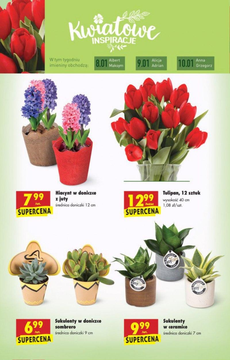 Gazetka promocyjna Biedronka do 14/01/2018 str.53