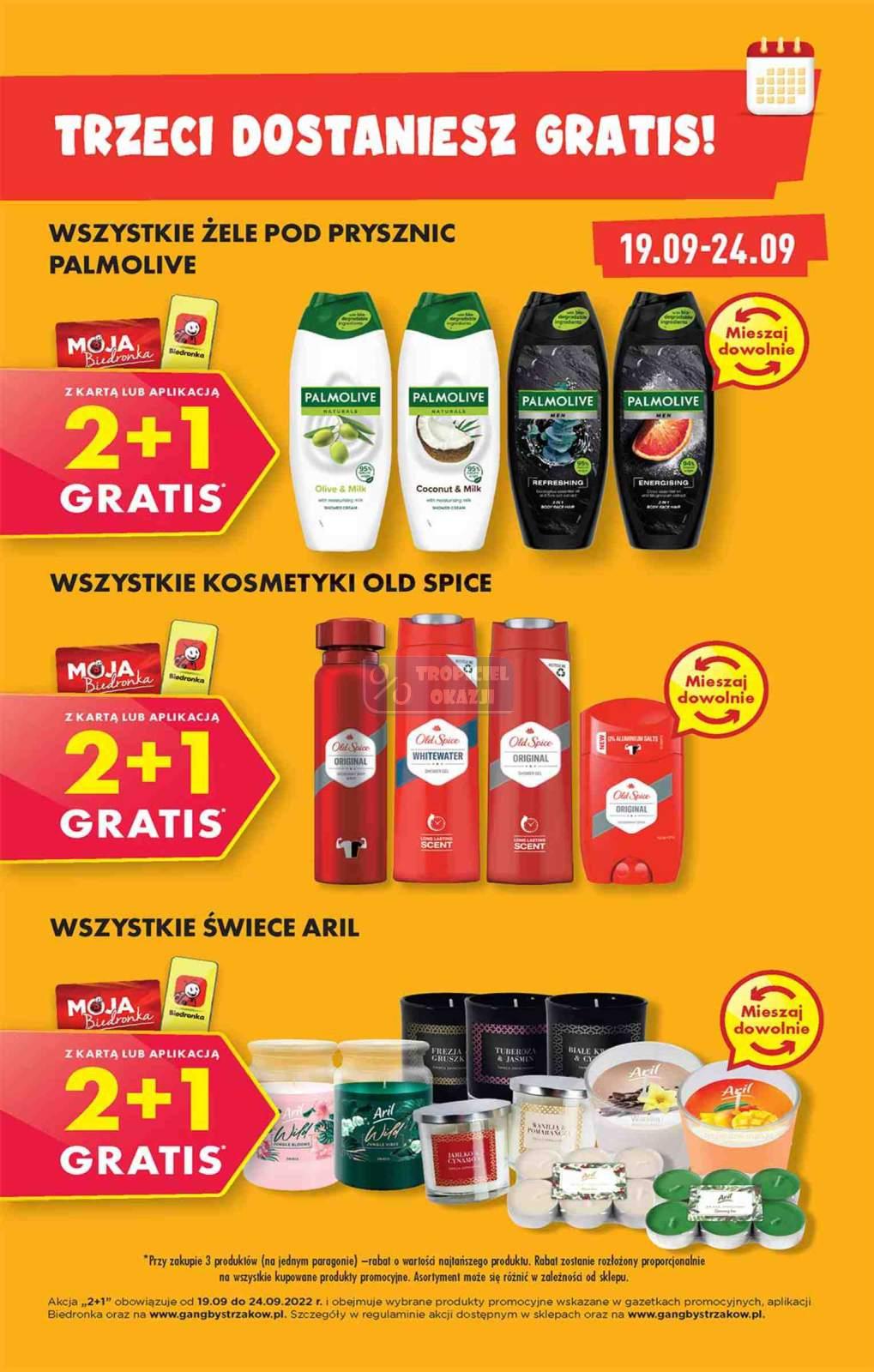 Gazetka promocyjna Biedronka do 24/09/2022 str.41
