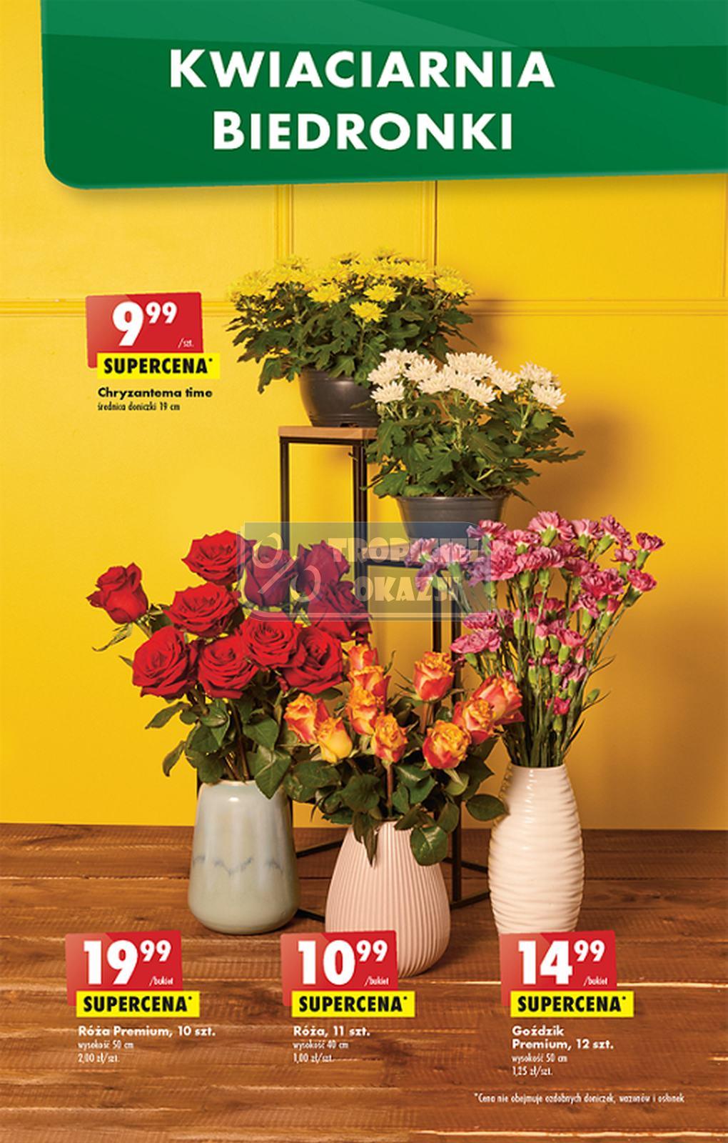 Gazetka promocyjna Biedronka do 26/10/2022 str.53