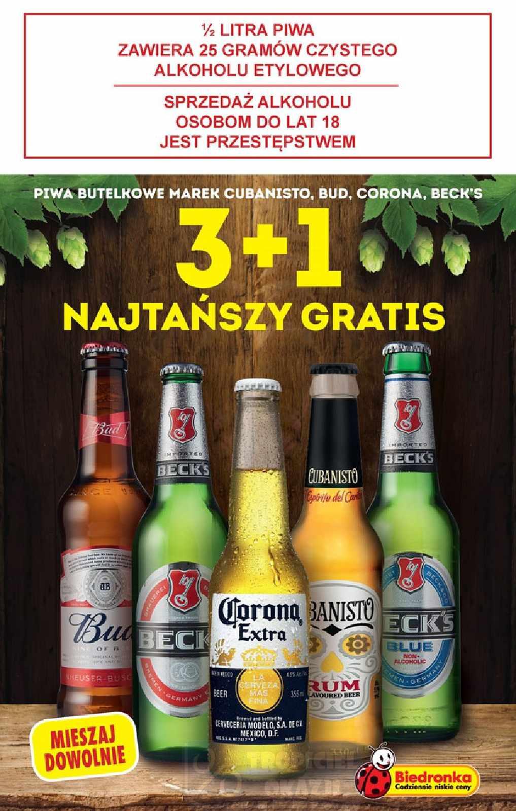 Gazetka promocyjna Biedronka do 28/06/2020 str.33