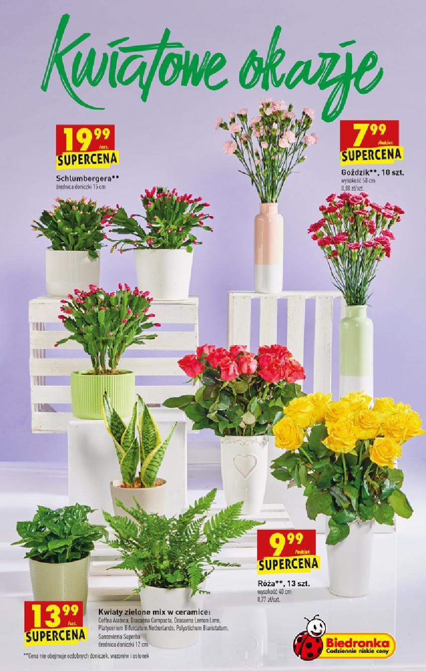 Gazetka promocyjna Biedronka do 21/11/2020 str.63