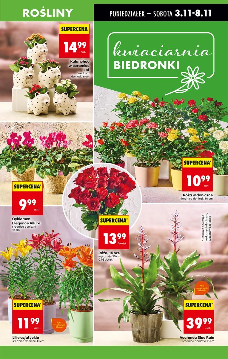Gazetka promocyjna Biedronka do 08/11/2025 str.15