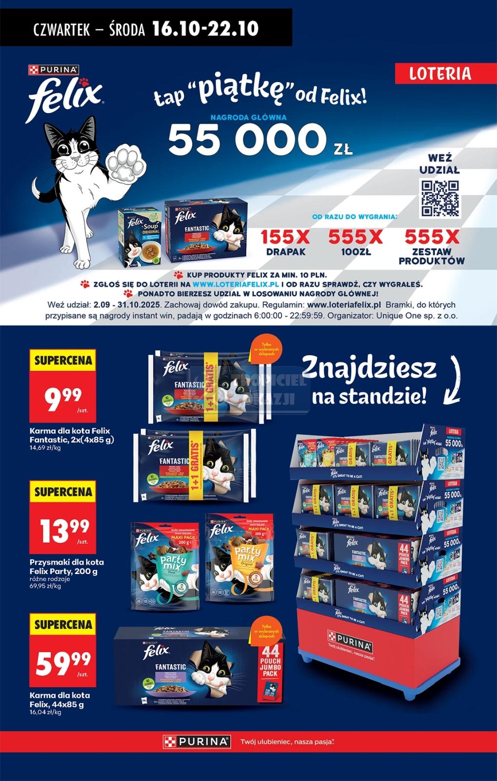 Gazetka promocyjna Biedronka do 22/10/2025 str.76
