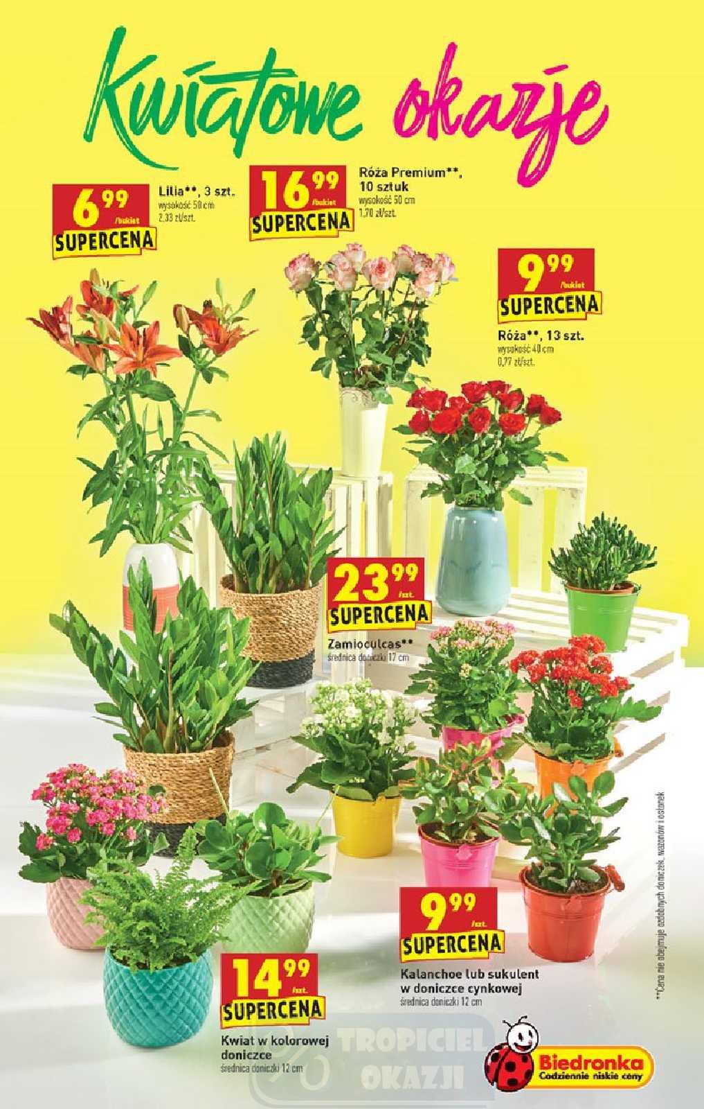 Gazetka promocyjna Biedronka do 22/07/2020 str.55