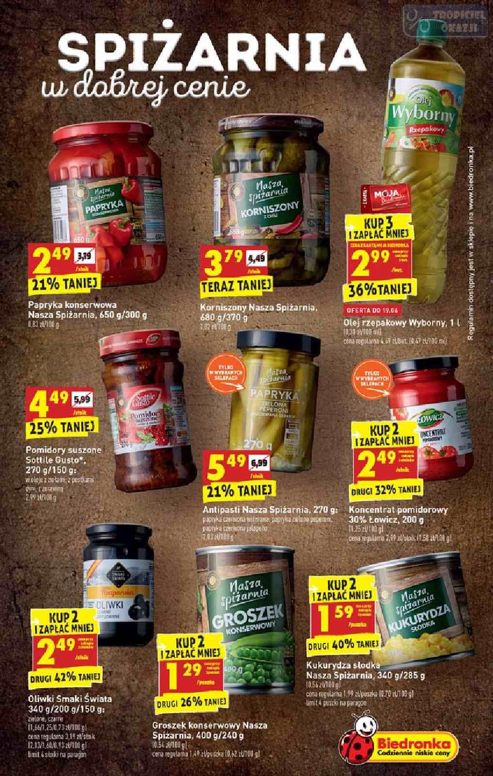 Gazetka promocyjna Biedronka do 22/06/2019 str.39