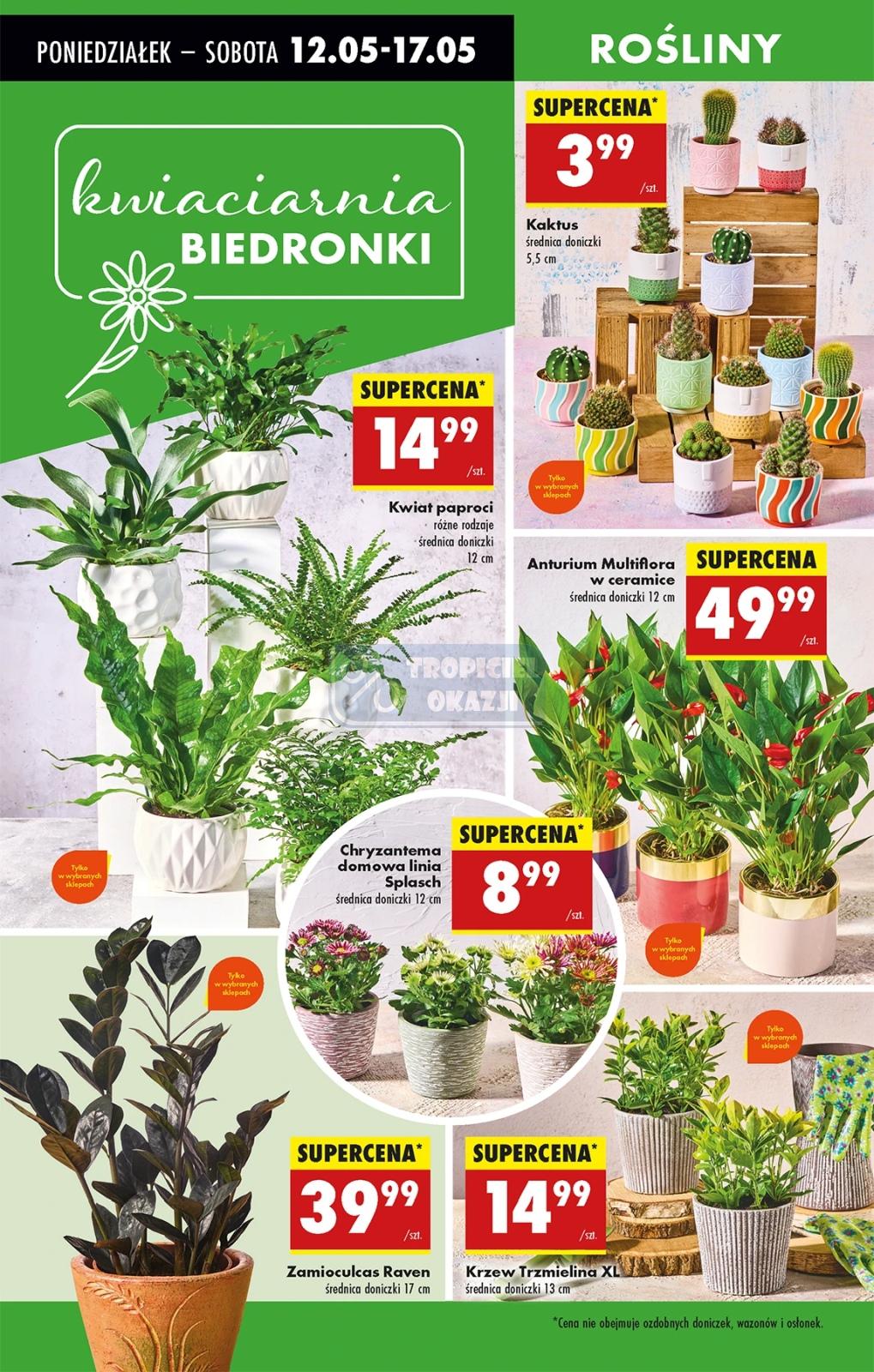 Gazetka promocyjna Biedronka do 21/05/2025 str.17