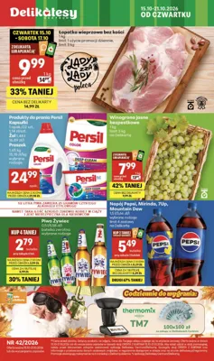 Gazetka Delikatesy