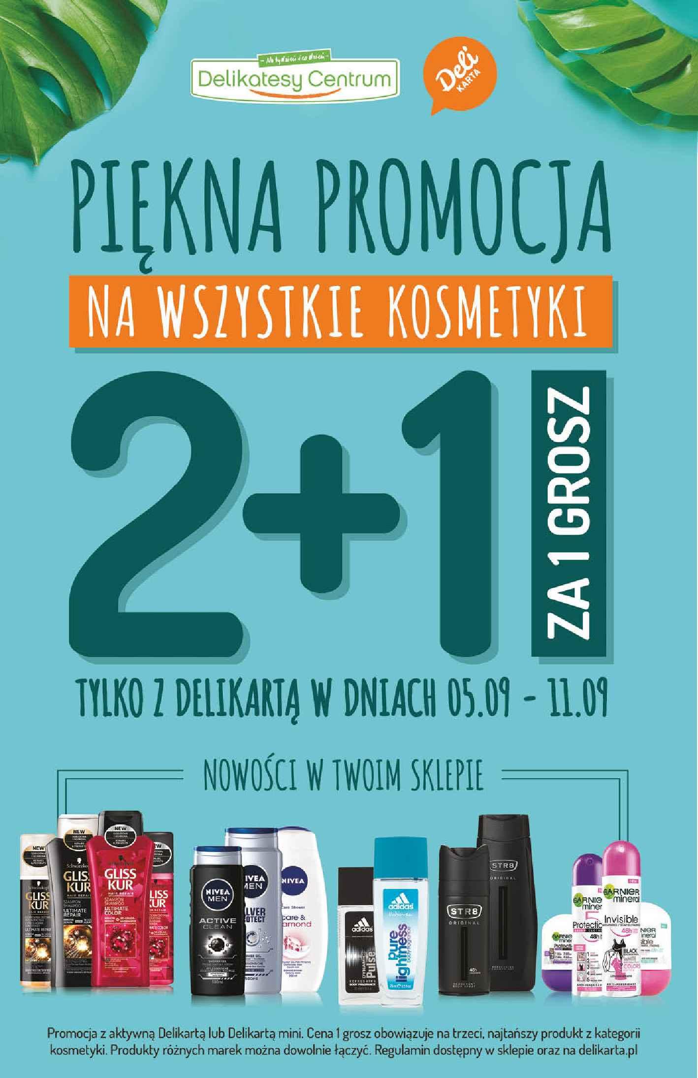 Gazetka promocyjna Delikatesy Centrum do 11/09/2019 str.16