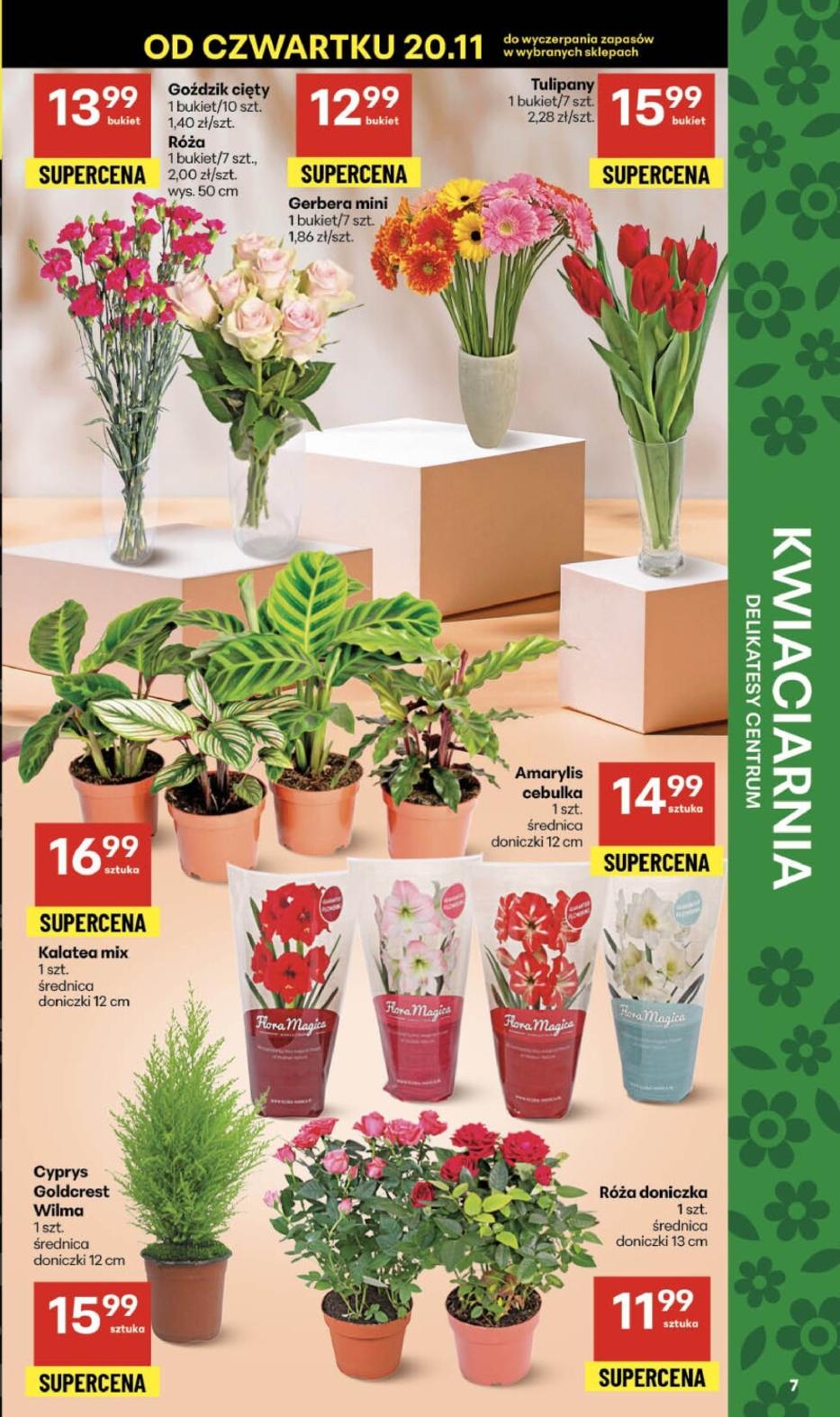 Gazetka promocyjna Delikatesy Centrum do 26/11/2025 str.7