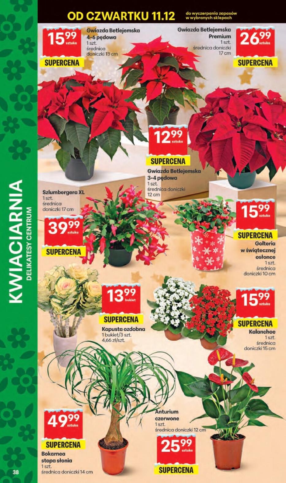 Gazetka promocyjna Delikatesy Centrum do 17/12/2025 str.38