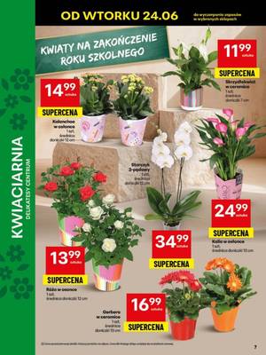 Gazetka Delikatesy