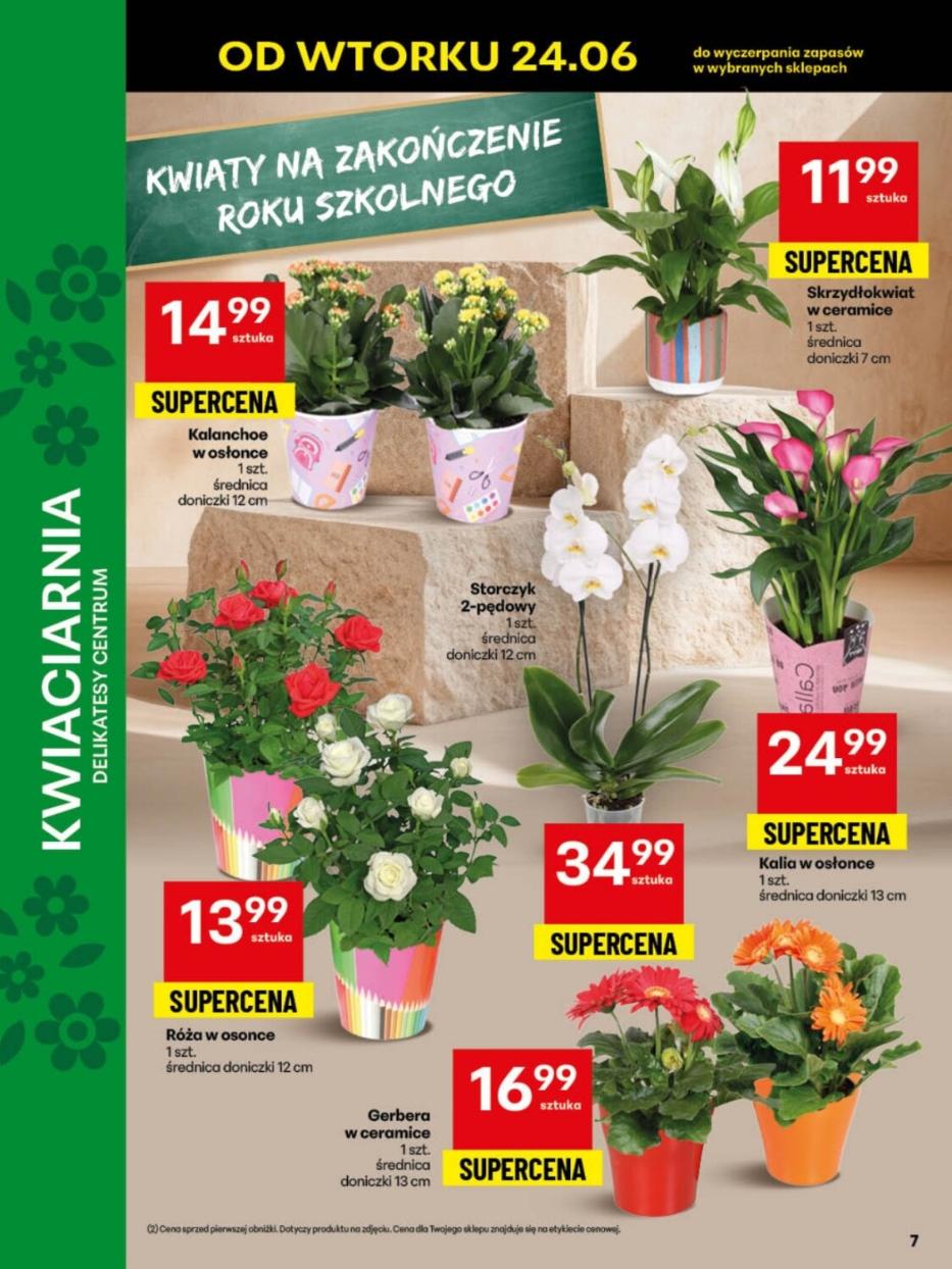 Gazetka promocyjna Lidl do 29/06/2025 str.7