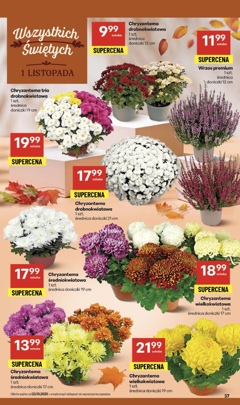 Gazetka promocyjna Delikatesy Centrum do 29/10/2025 str.37