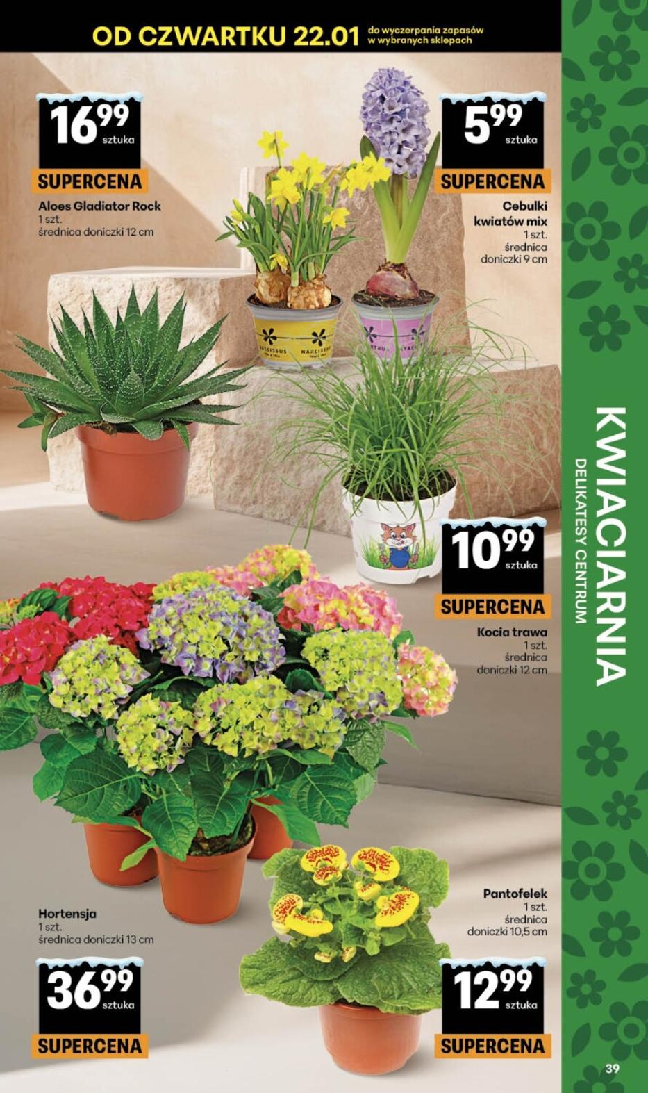 Gazetka promocyjna Delikatesy Centrum do 28/01/2026 str.39