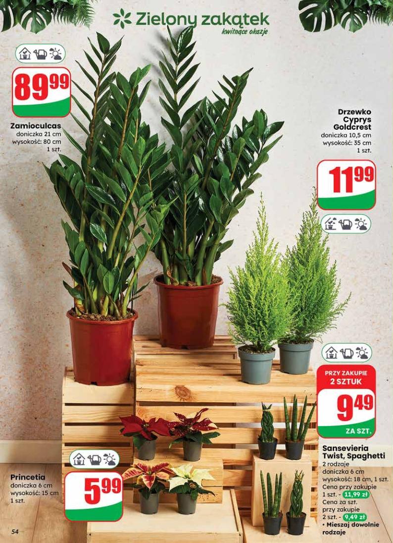 Gazetka promocyjna DINO do 25/11/2025 str.54