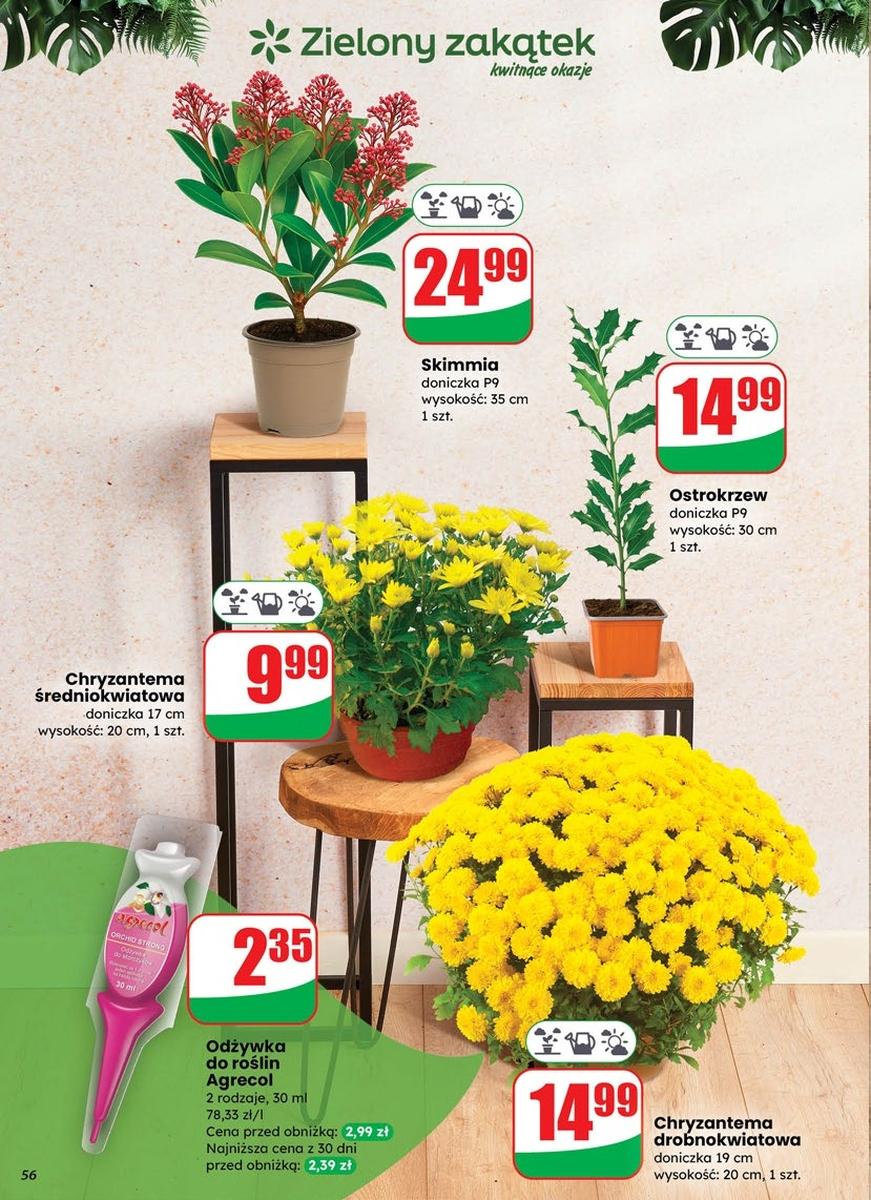 Gazetka promocyjna DINO do 04/11/2025 str.56