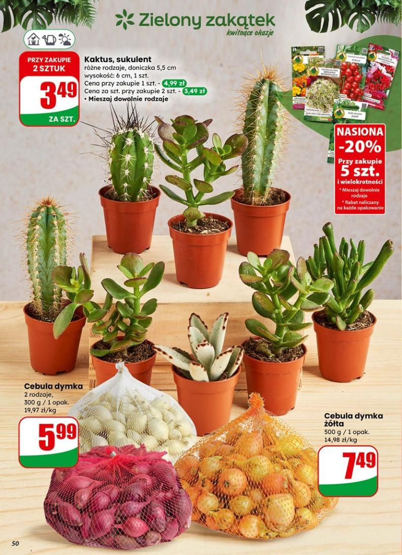 Gazetka promocyjna DINO do 13/01/2026 str.50