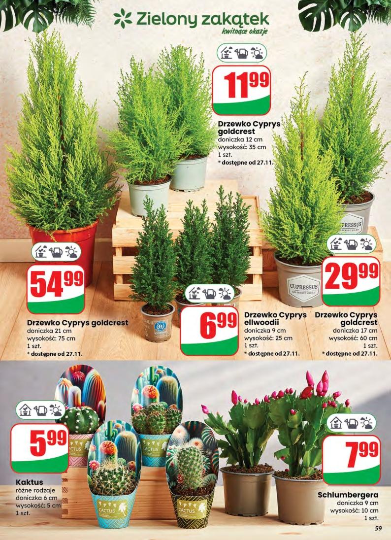 Gazetka promocyjna DINO do 02/12/2025 str.59