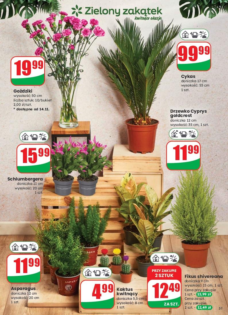 Gazetka promocyjna DINO do 18/11/2025 str.51