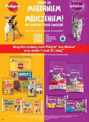 Gazetka Dino