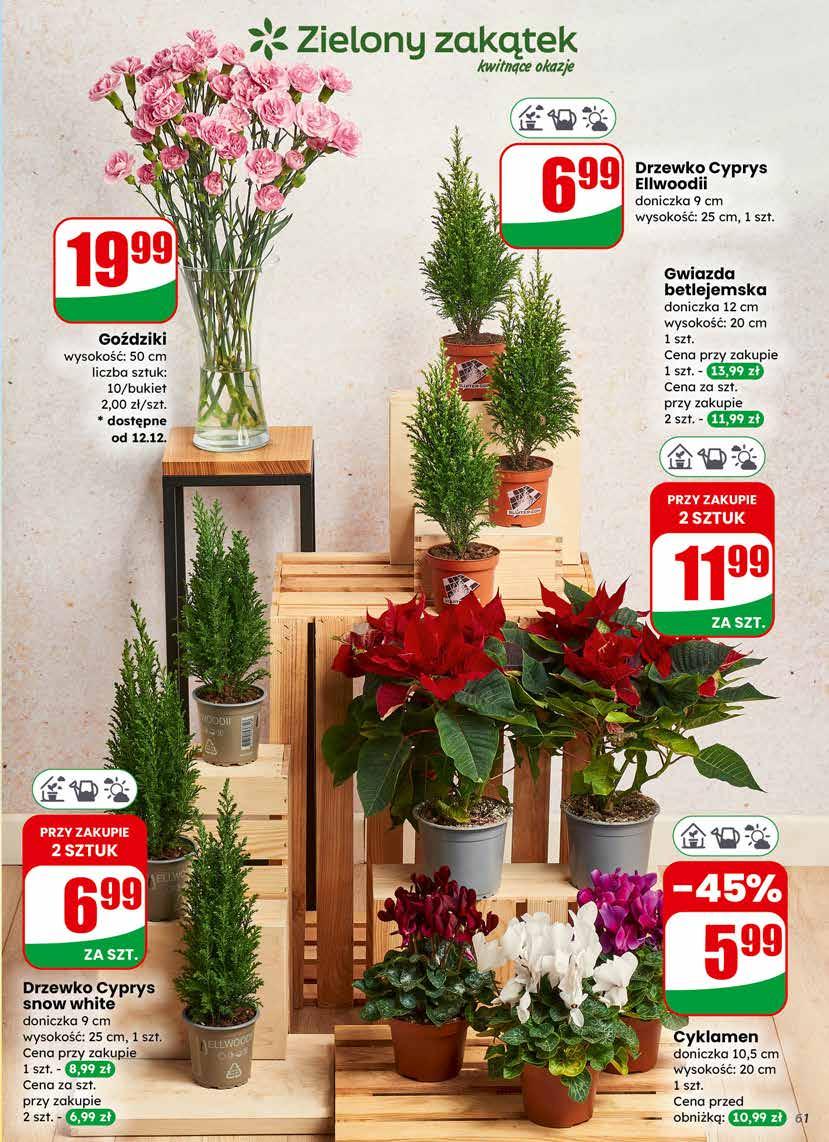 Gazetka promocyjna DINO do 16/12/2025 str.61