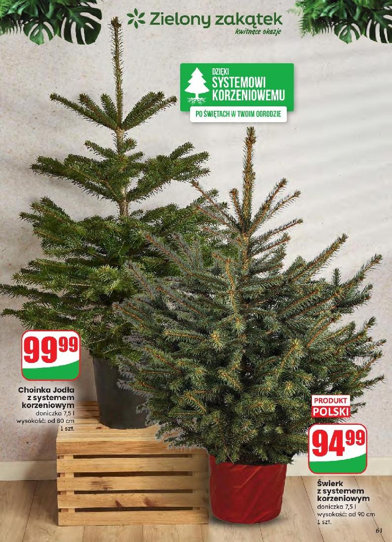 Gazetka promocyjna DINO do 09/12/2025 str.61