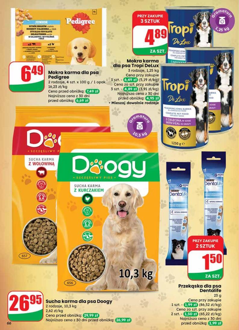 Gazetka promocyjna DINO do 28/01/2026 str.66