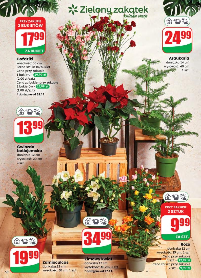 Gazetka promocyjna DINO do 02/12/2025 str.58